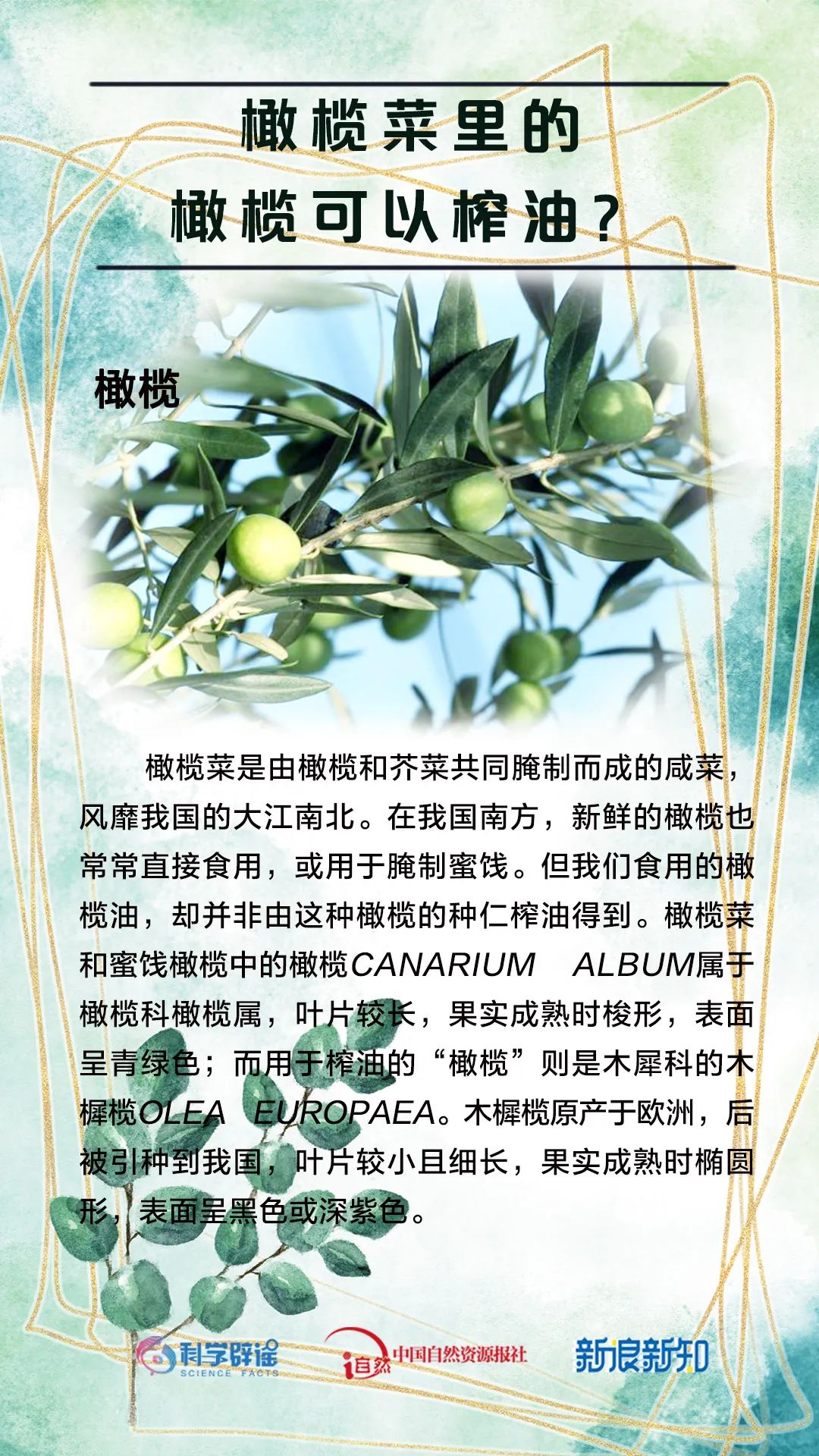 美丽云南微科普