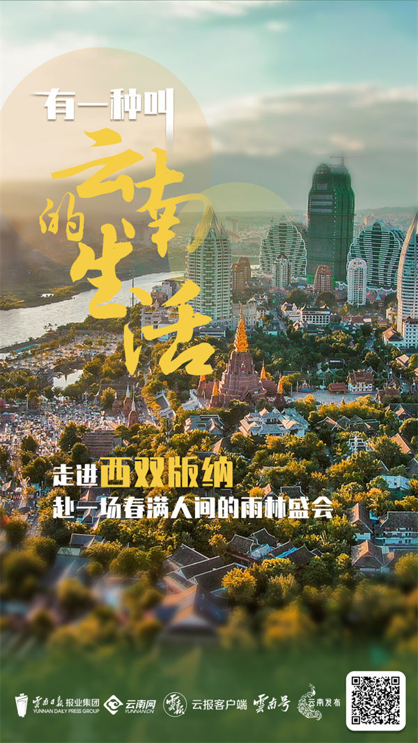 西双版纳先锋