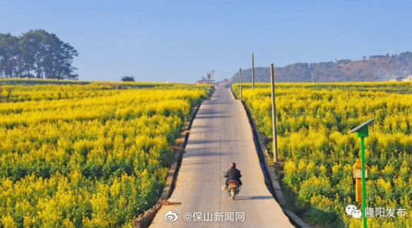 保山新闻网