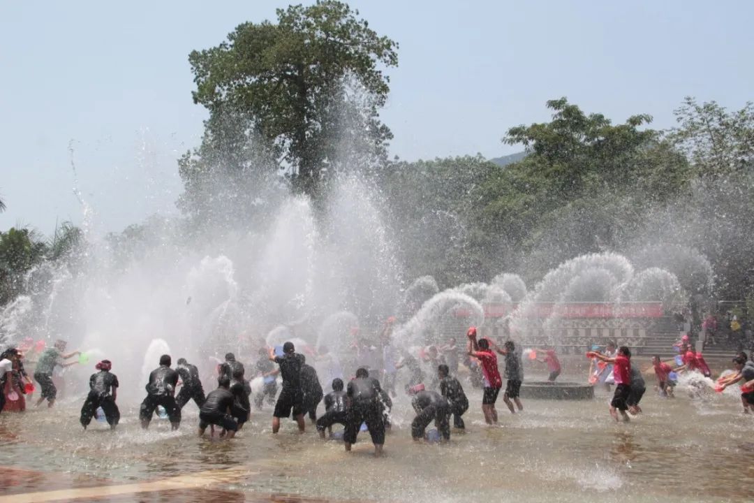 西双版纳望天树景区