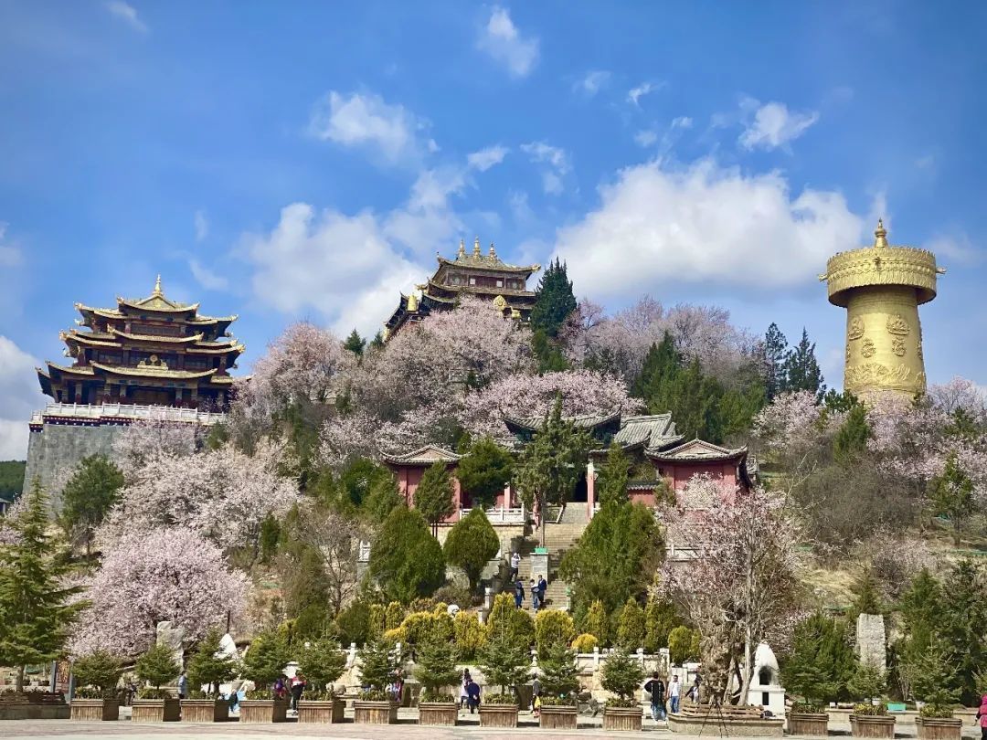 云南省文化和旅游厅