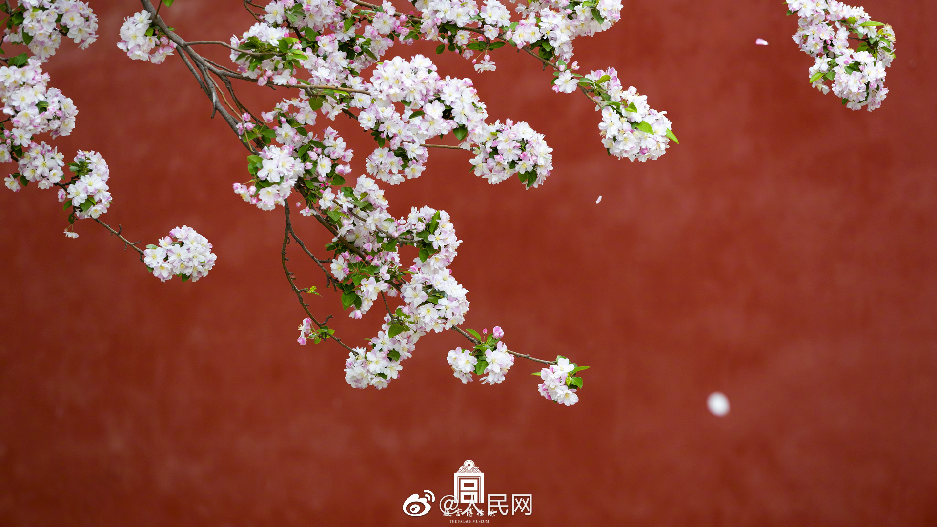 人民网