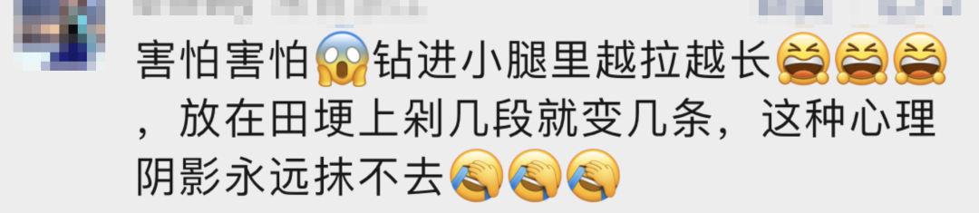 春城晚报