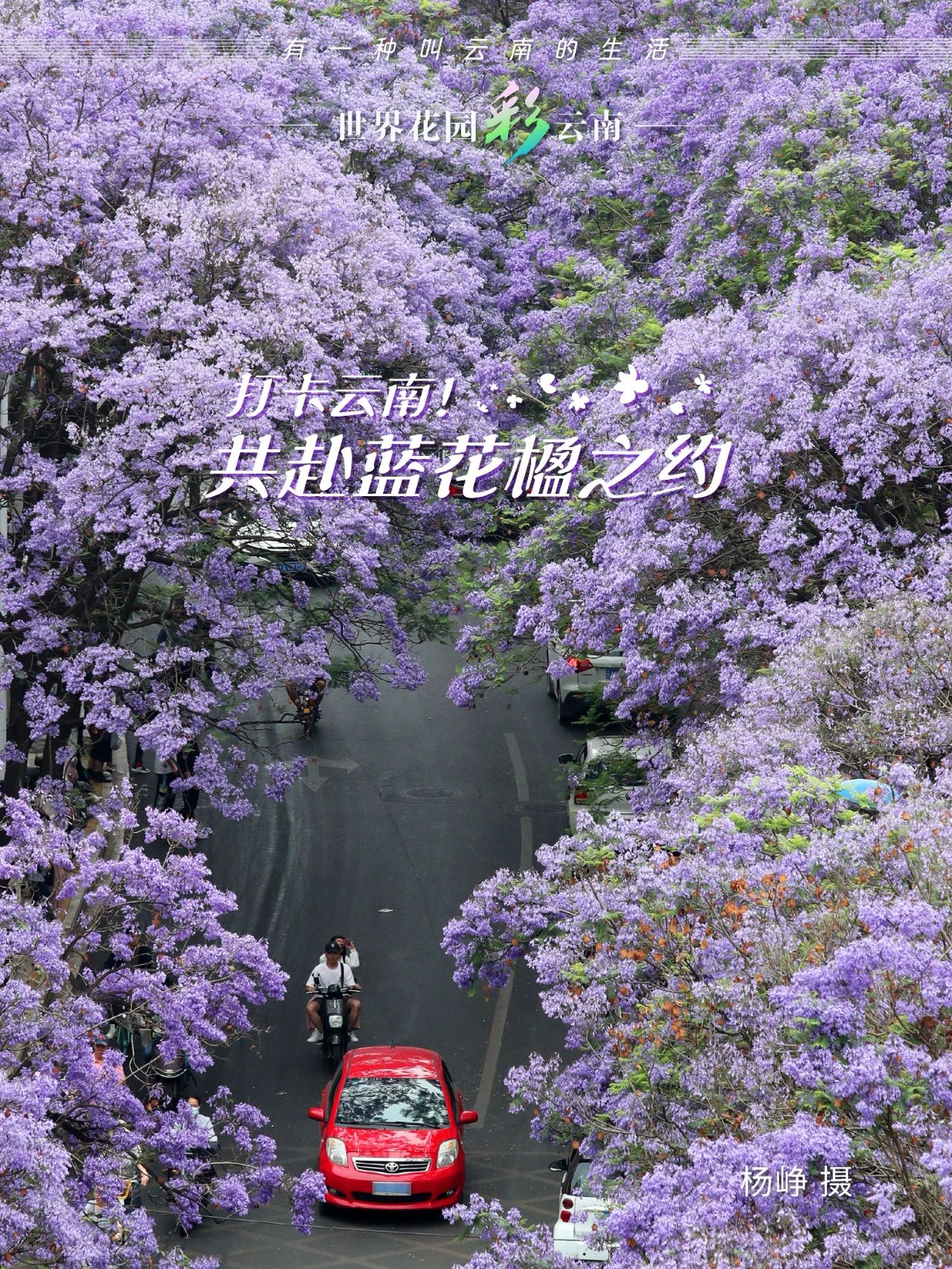 云南省文化和旅游厅