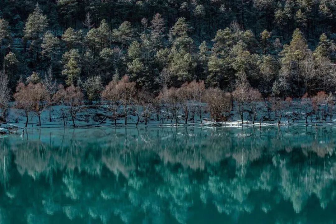 微丽江