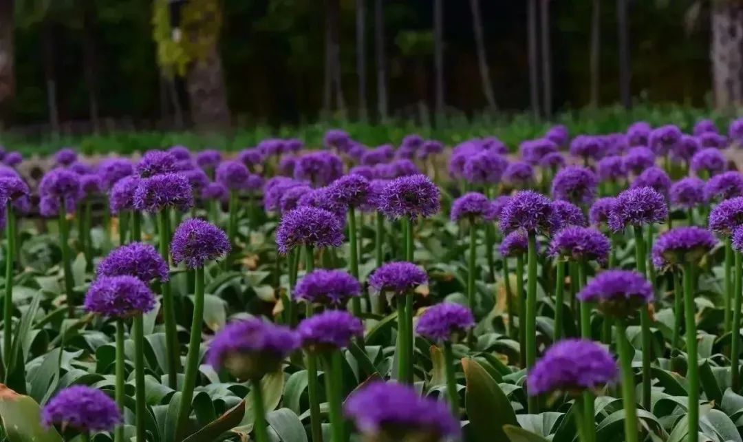 昆明生态环境