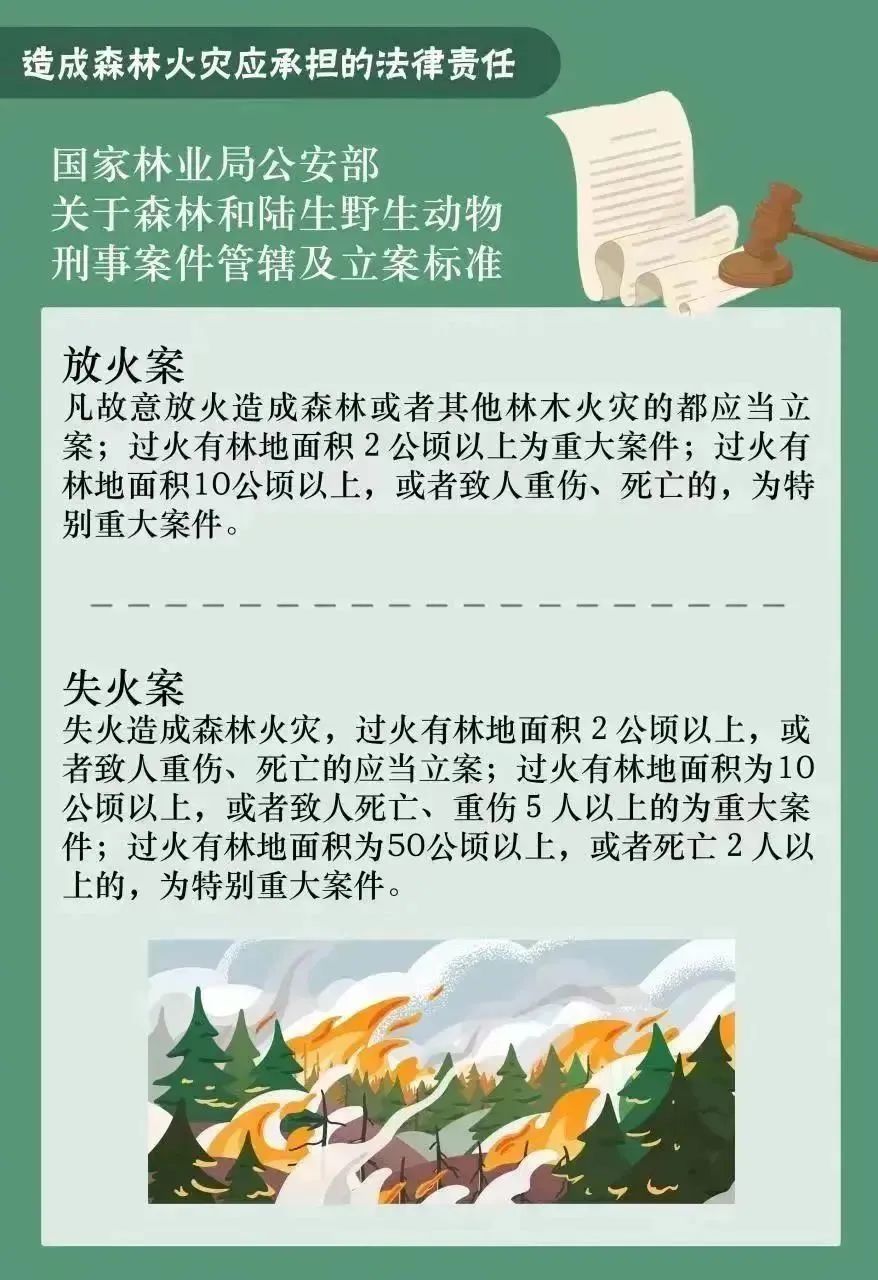 悦读嵩明