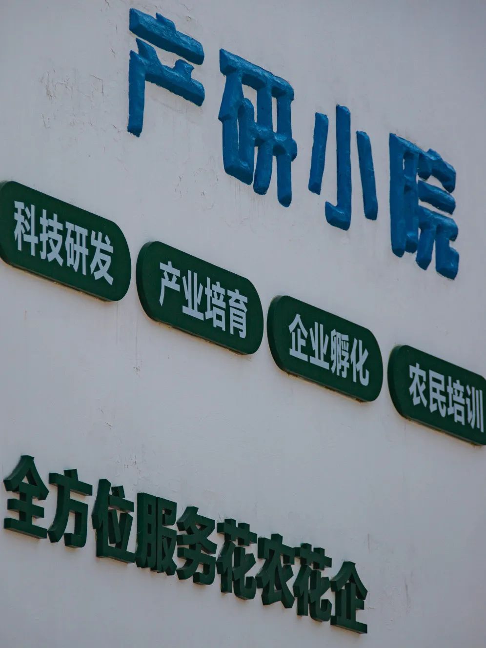 晋宁诗意的栖居地