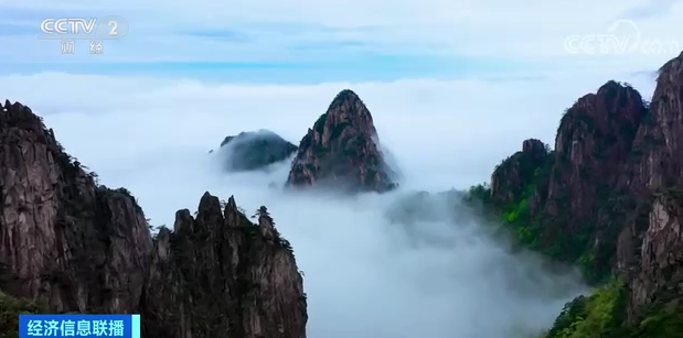 昆明信息港/cnkmxxg