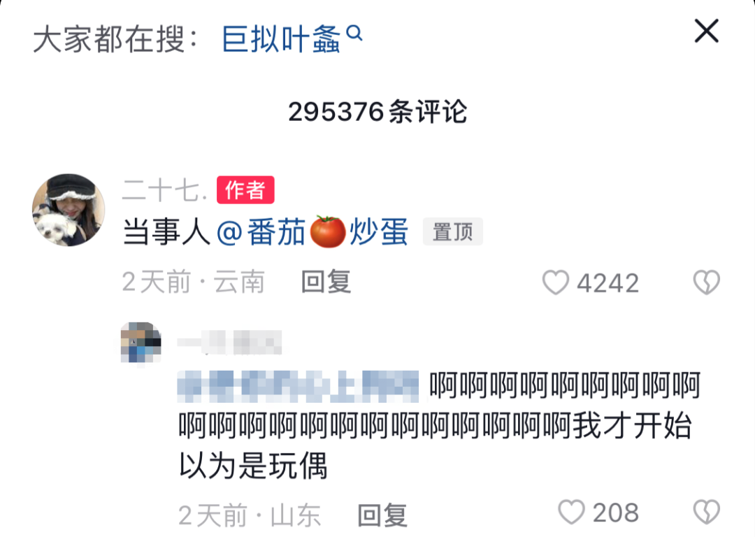 掌上春城