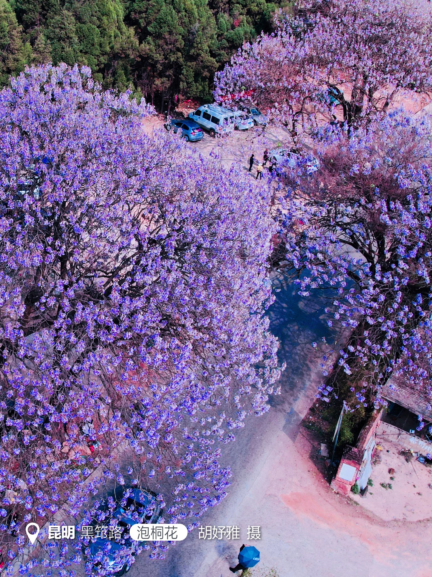 云南省文化和旅游厅