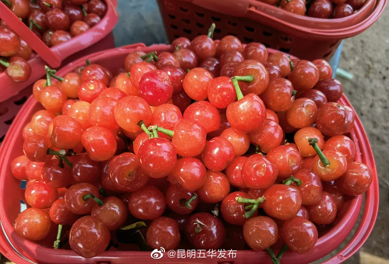 昆明五华发布