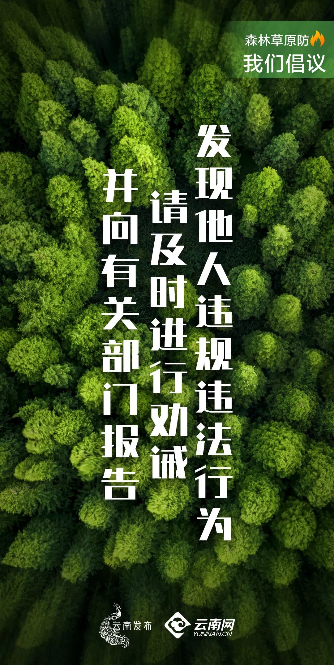 保山新闻网