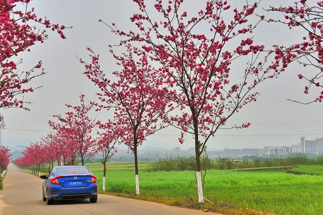 保山新闻网