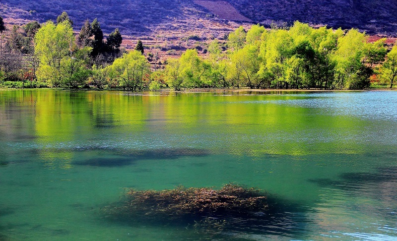 云南省文化和旅游厅