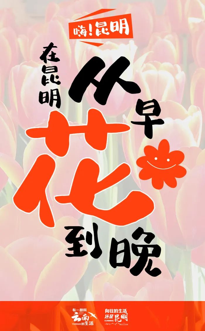 昆明国家高新区发布