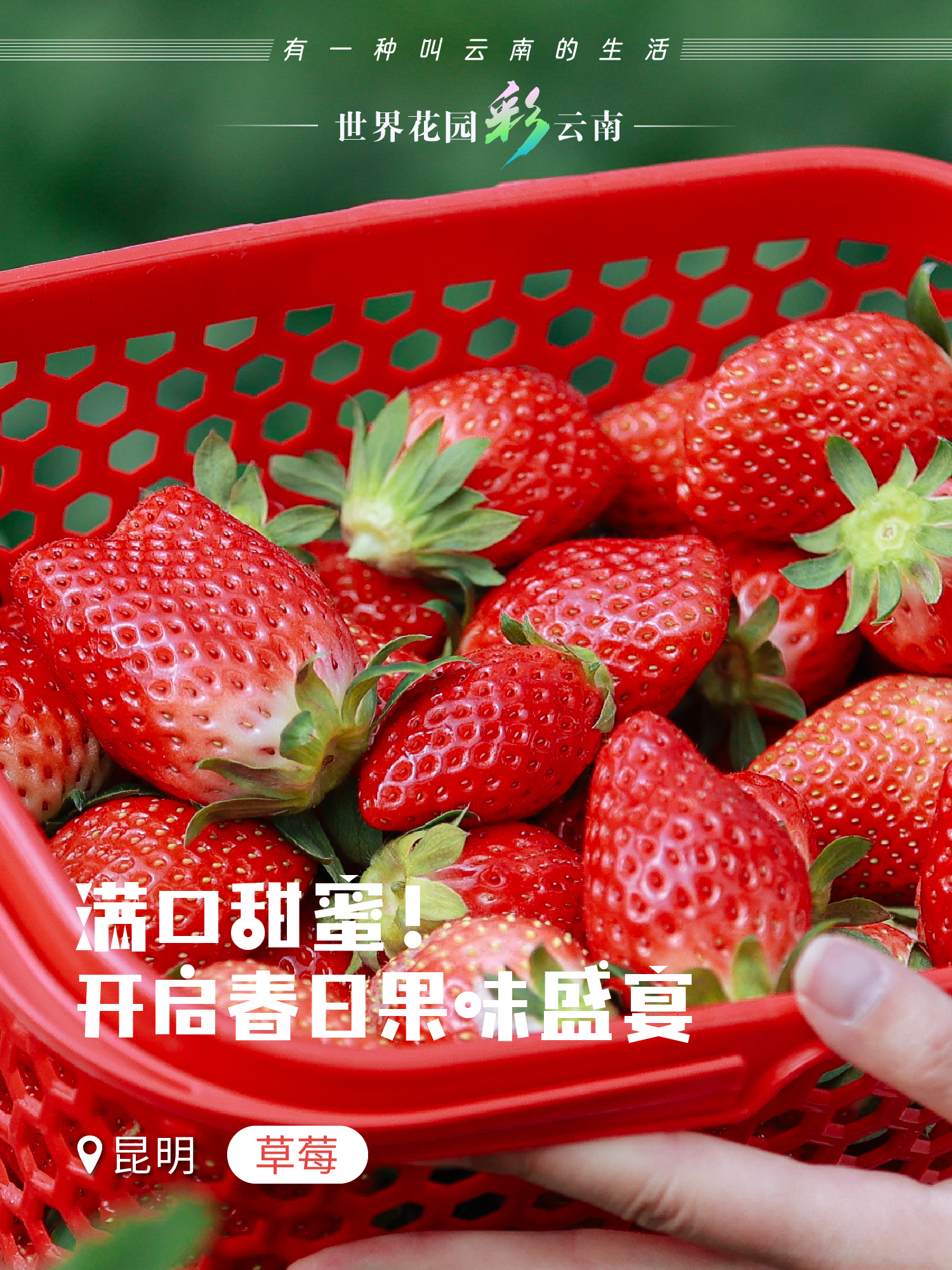 云南省文化和旅游厅