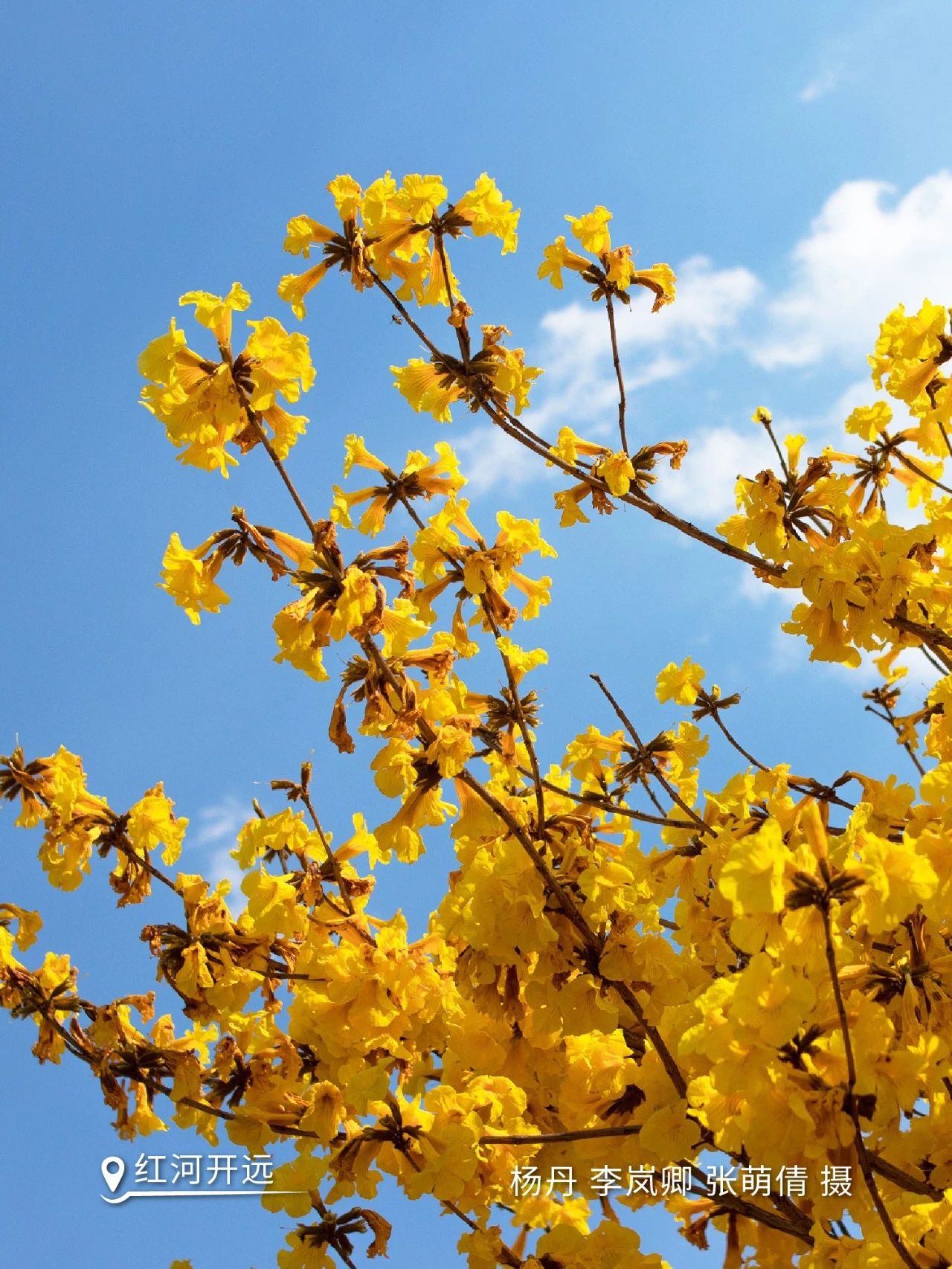 云南省文化和旅游厅