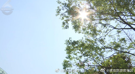 明天可能“求雨”成功？最新预报→（附野生菌行情）昆明求雨 