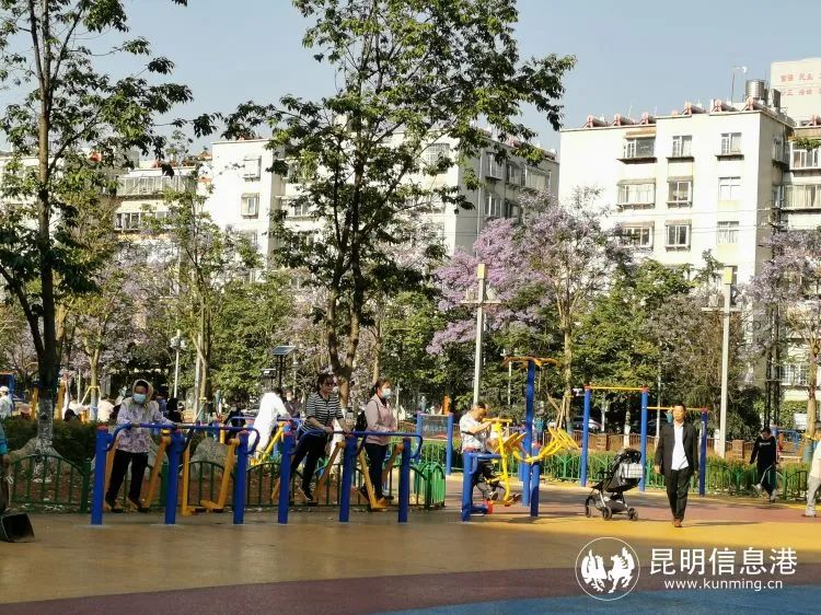 微观盘龙