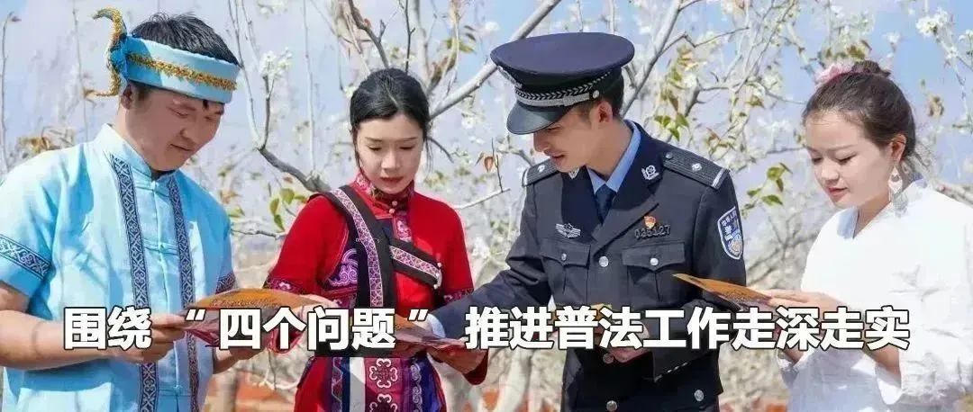 云南政法