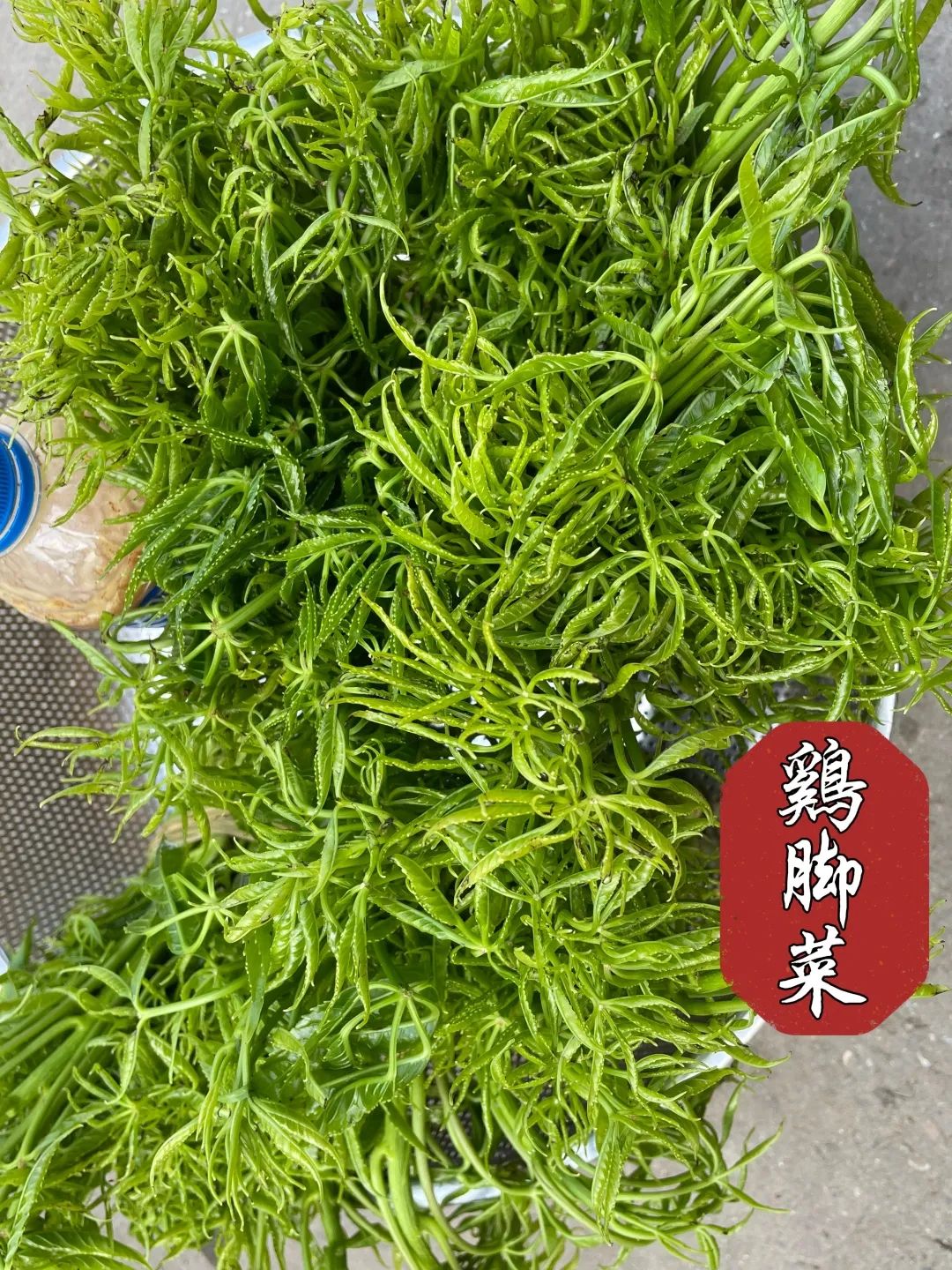 红河日报