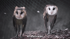 昆明晋宁发布