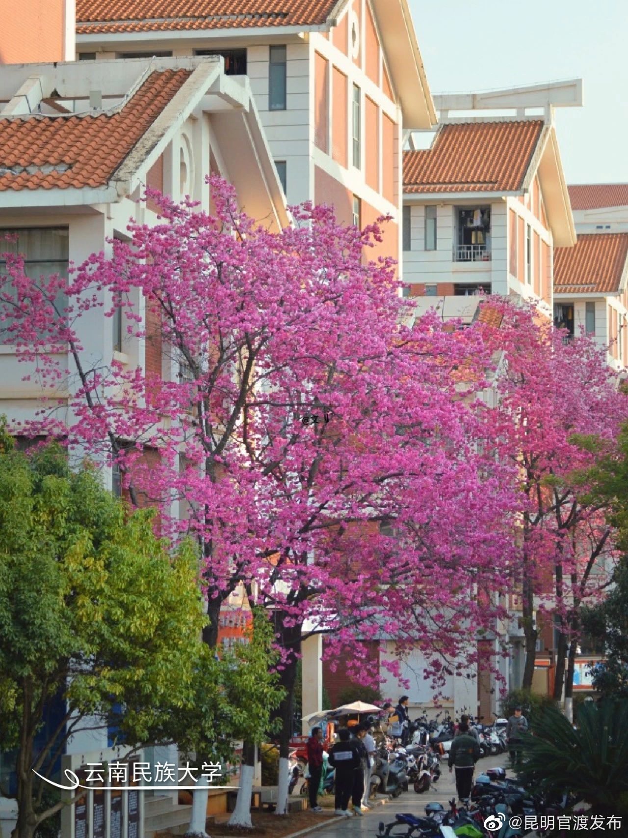 “昆明官渡发布”微博