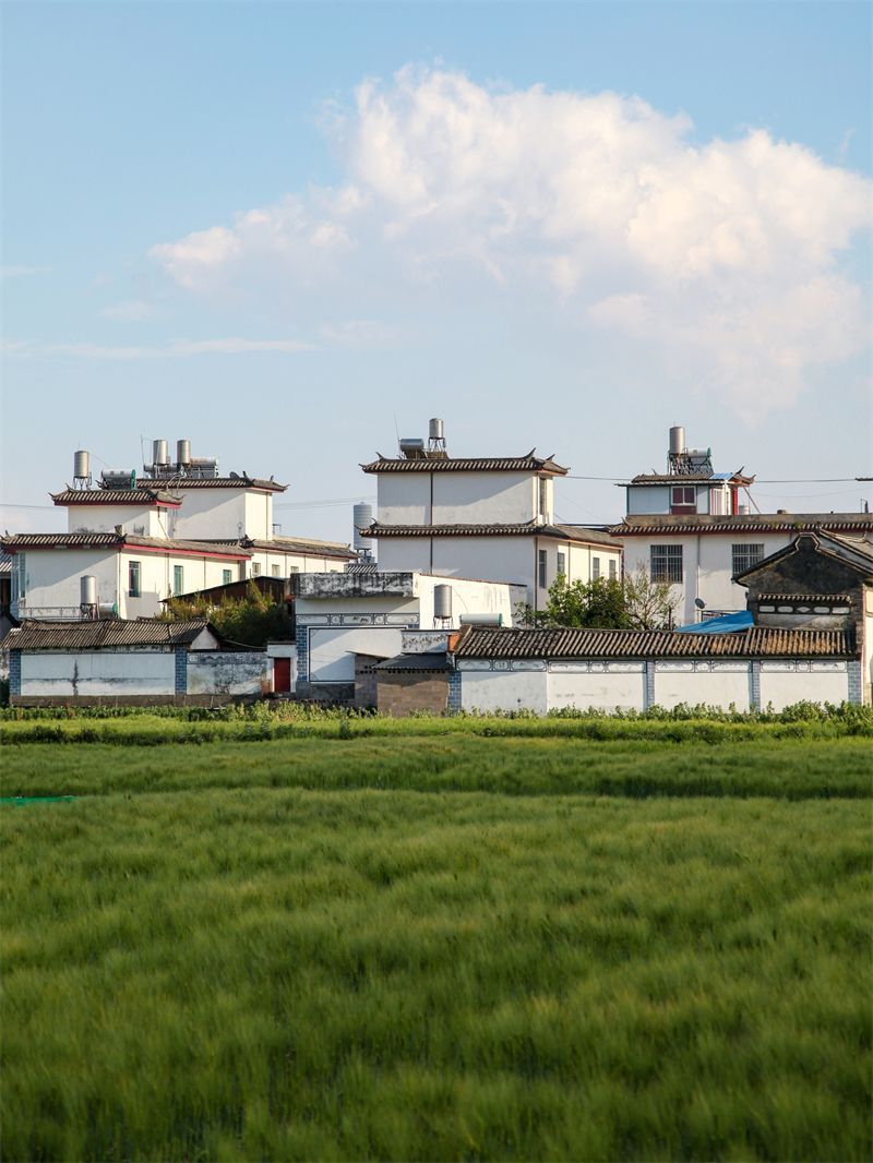 云南省文化和旅游厅