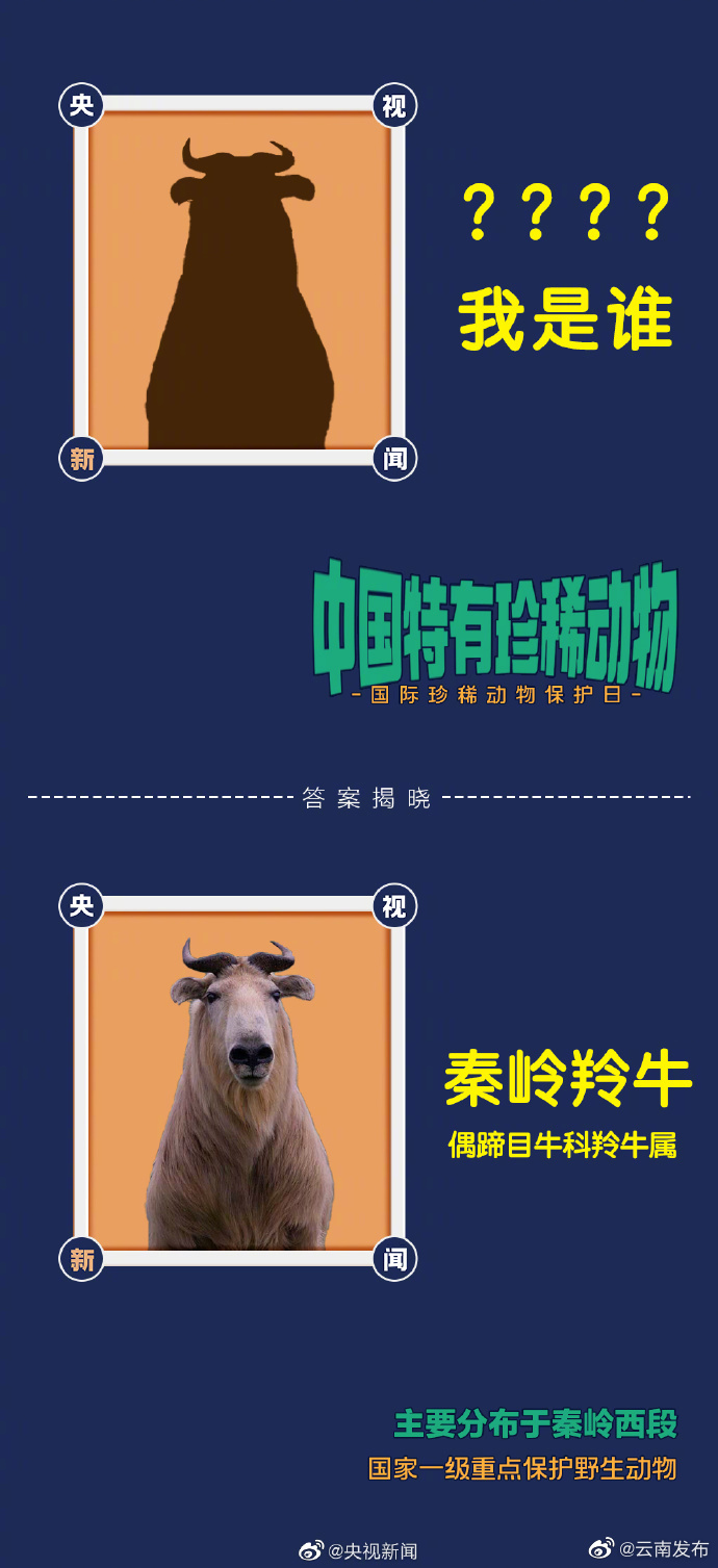 “云南发布”微博