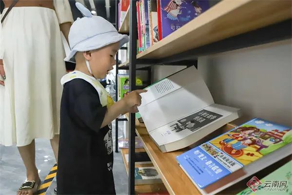 微观盘龙