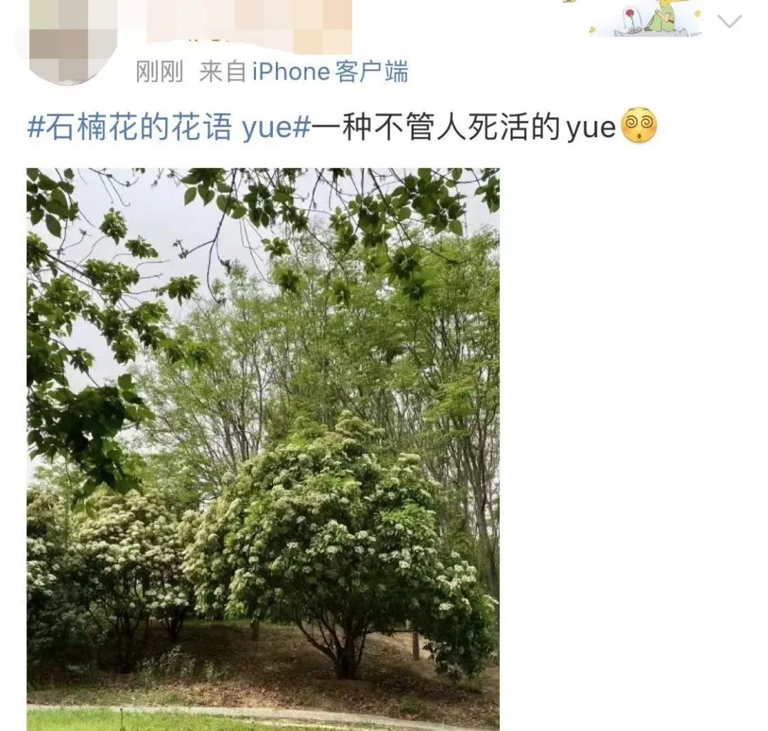 春城晚报