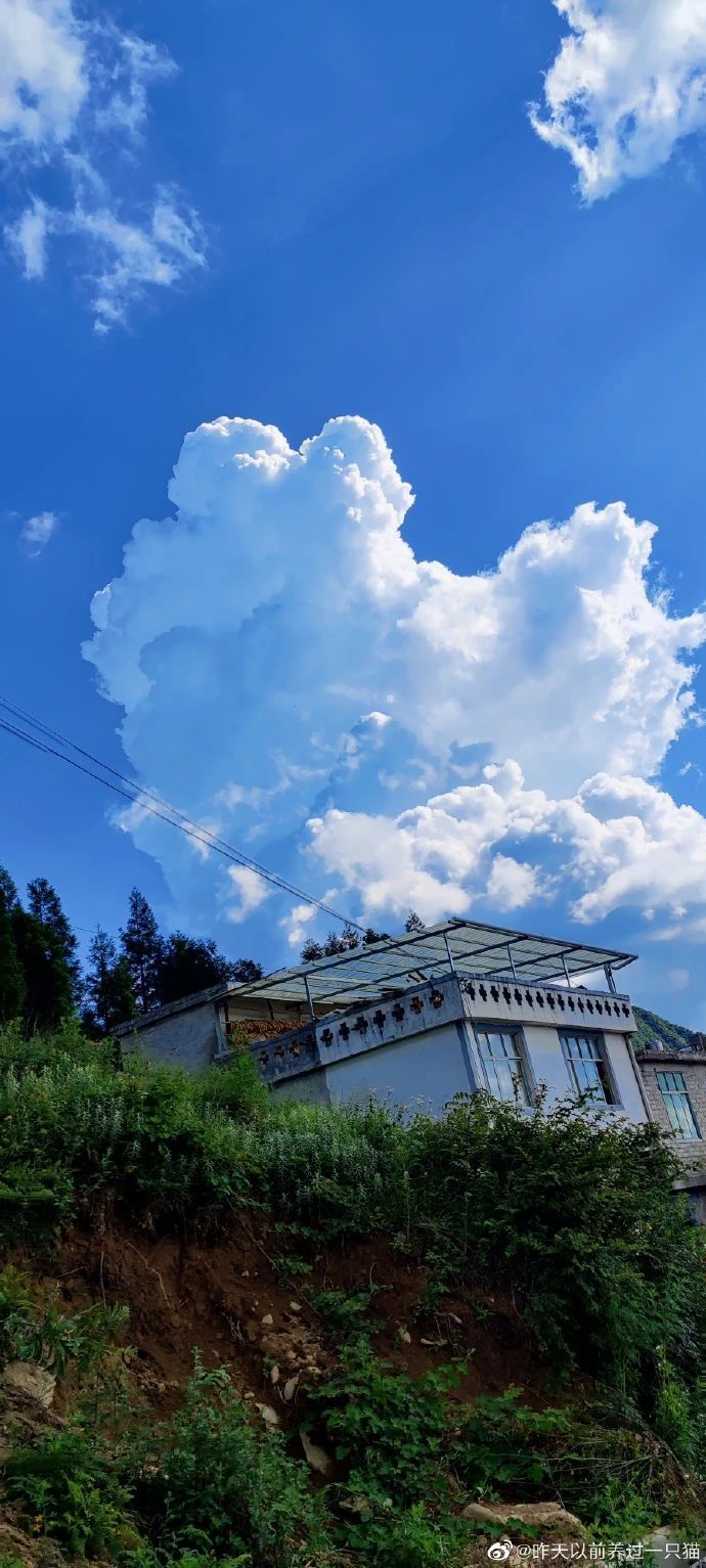 云南省文化和旅游厅