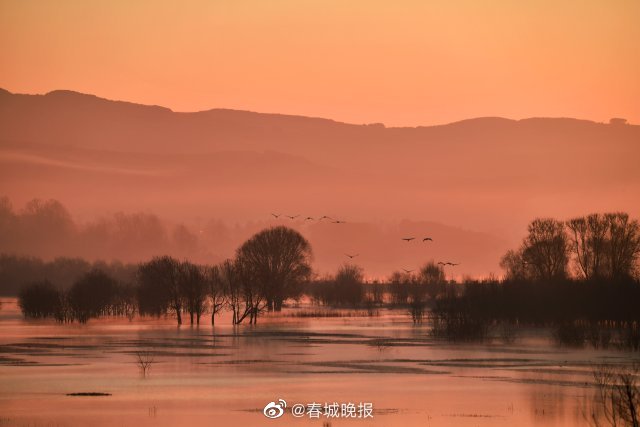 春城晚报
