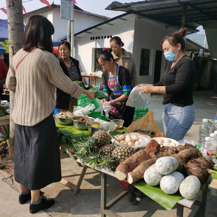 西双版纳望天树景区