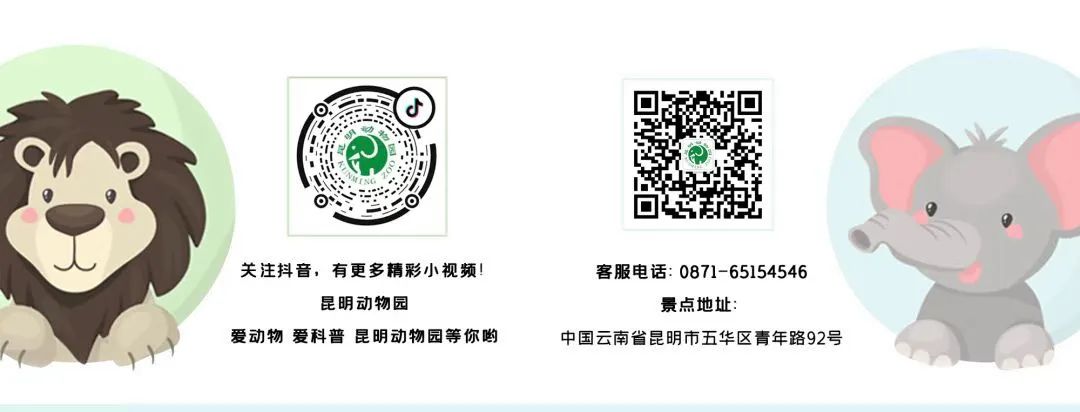 昆明动物园