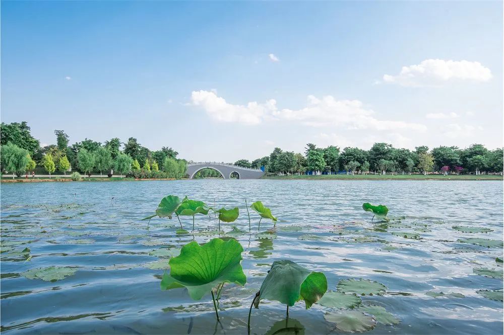 红河文旅