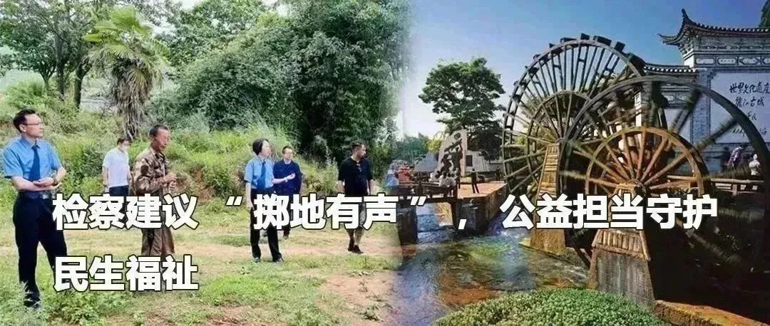 云南政法