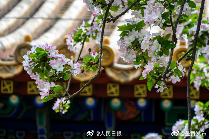 呈贡发布
