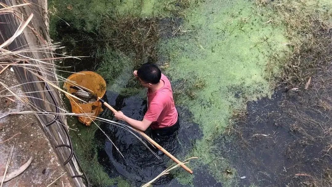 呈贡发布