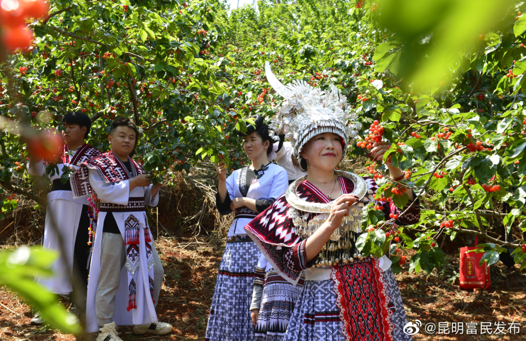 约起！“果香赤鹫 “樱”你而美”樱桃节4月15日开幕