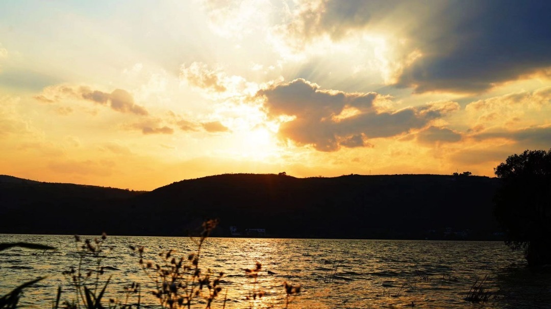 云南省文化和旅游厅