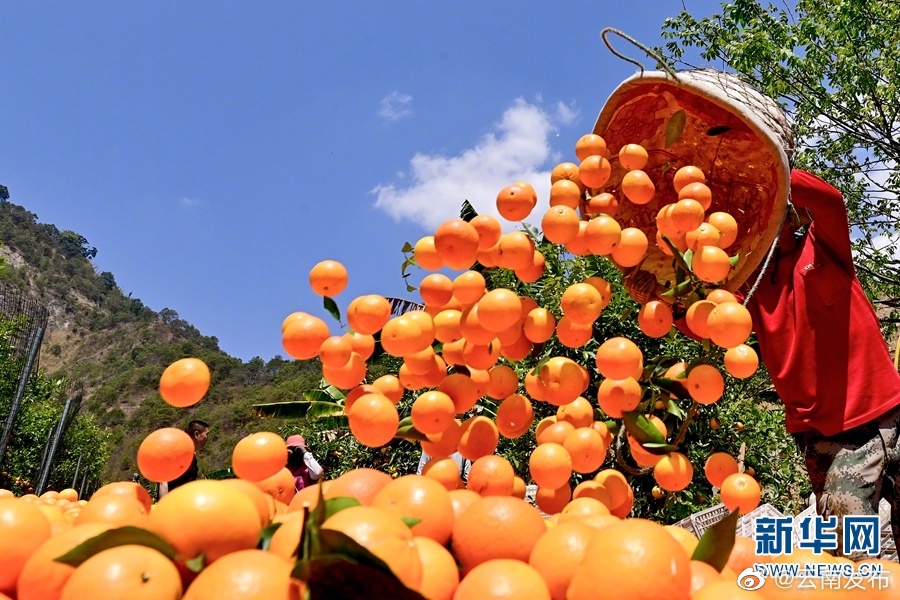 “云南发布”微博