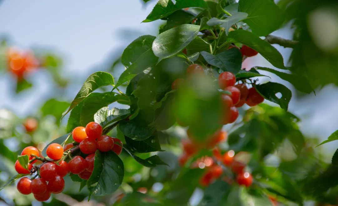 晋宁诗意的栖居地