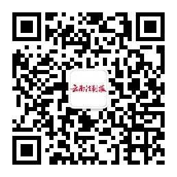 云南法制报