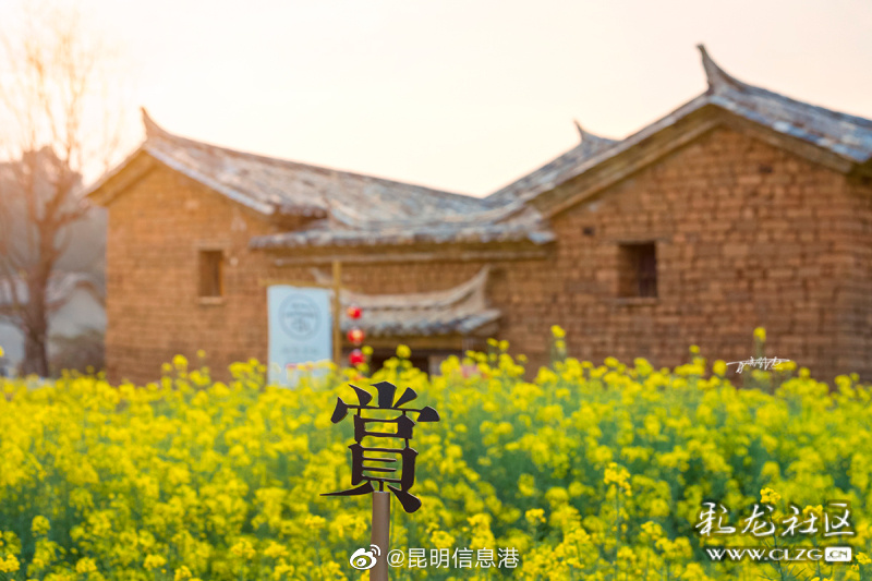 昆明信息港（微博）