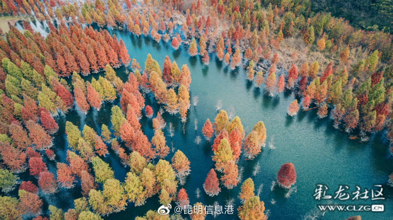 昆明信息港