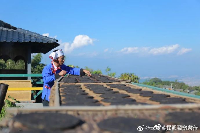 昆明晋宁发布