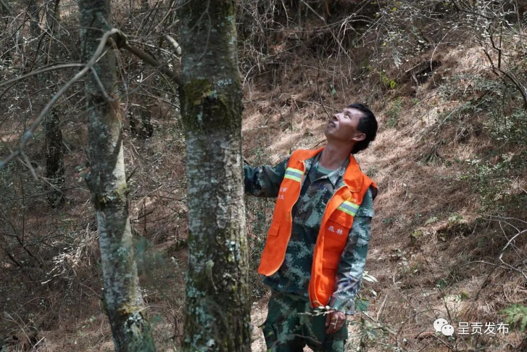 呈贡发布