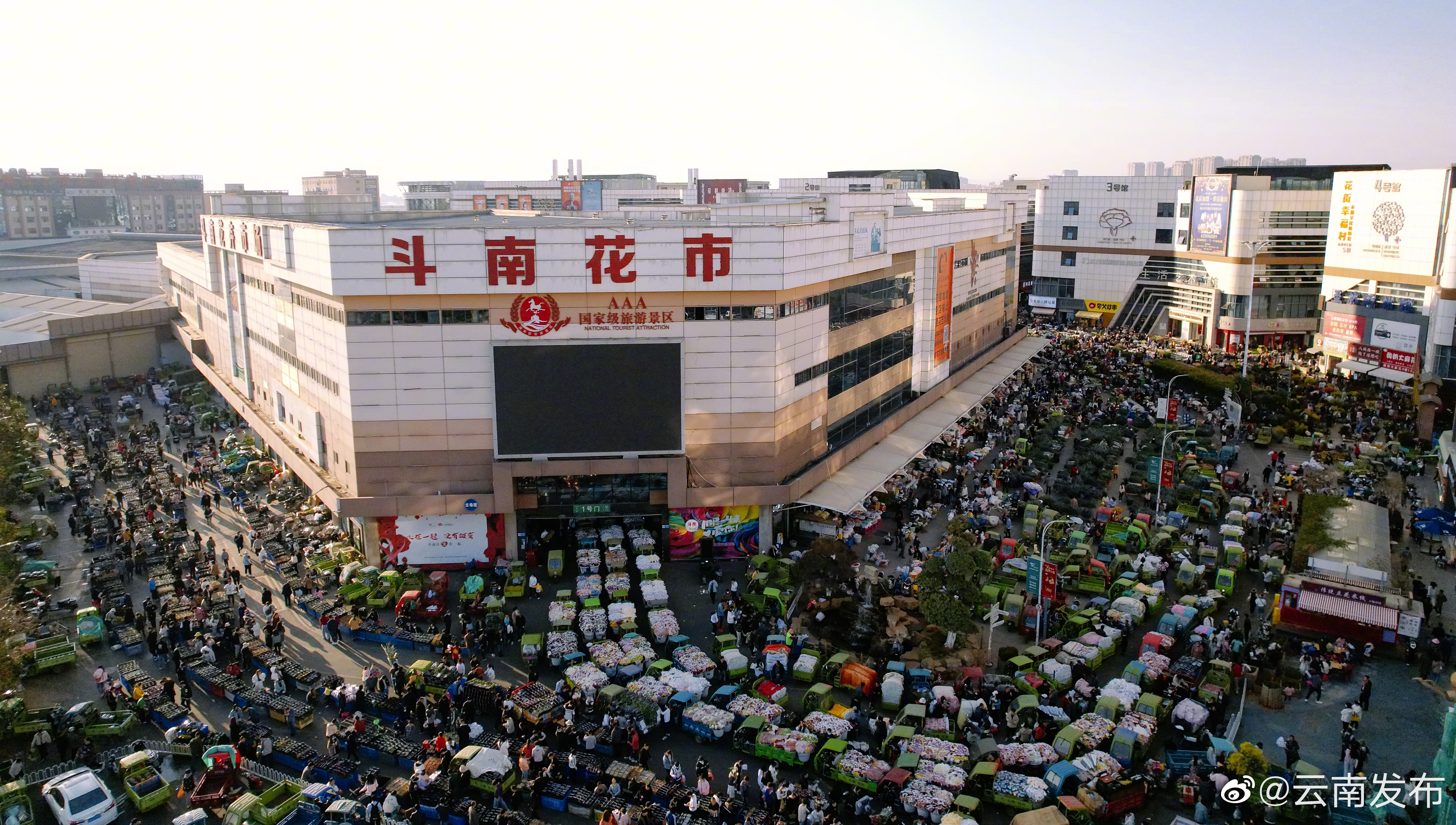 全国10支鲜切花有7支来自昆明